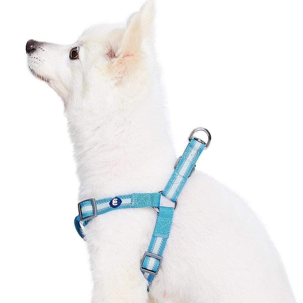 Back to Basics Reflective Step-in Dog Harness