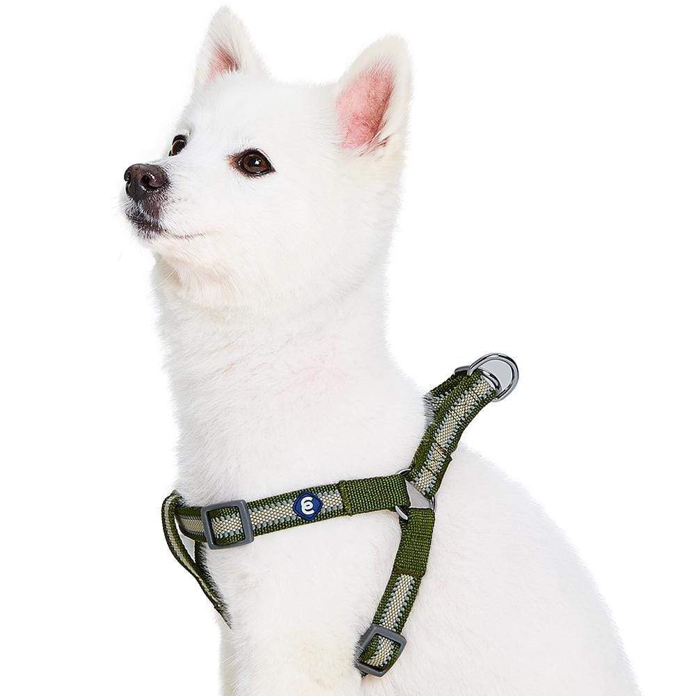 Back to Basics Reflective Step-in Dog Harness
