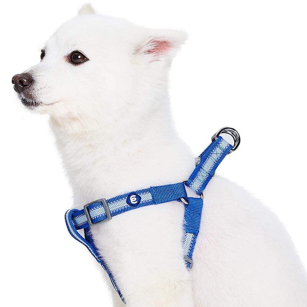 Back to Basics Reflective Step-in Dog Harness
