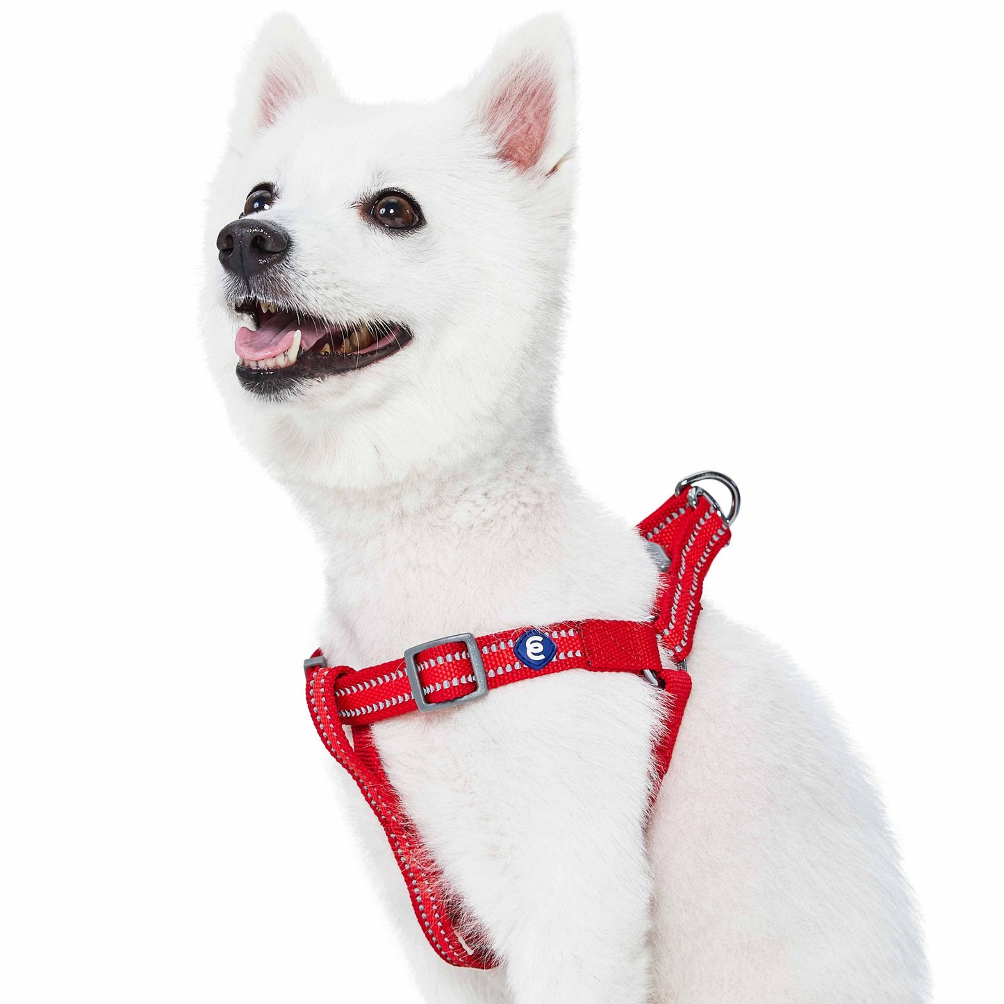 Back to Basics Reflective Step-in Dog Harness