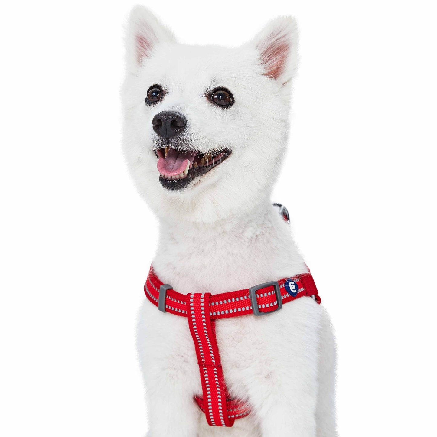 Back to Basics Reflective Step-in Dog Harness