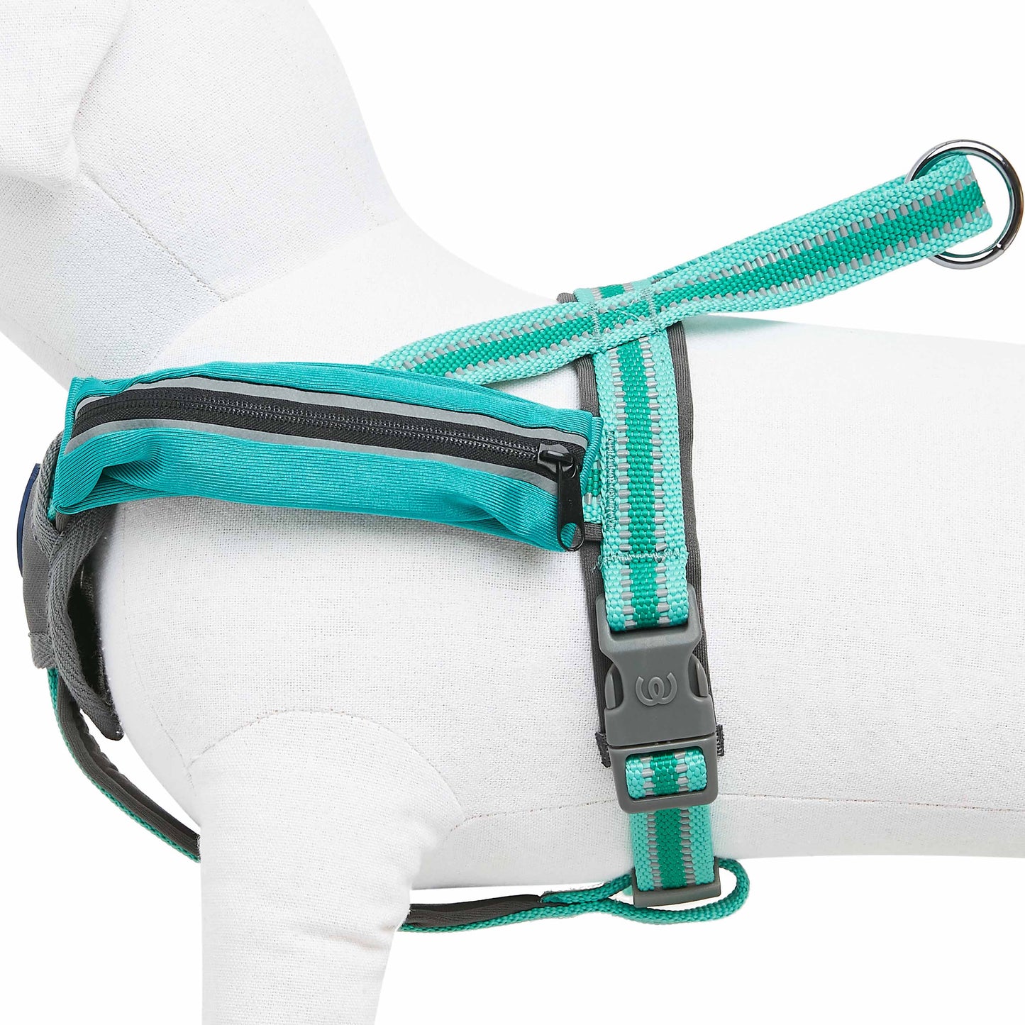 Back to Basics Reflective Dog Harness with Treat Pocket