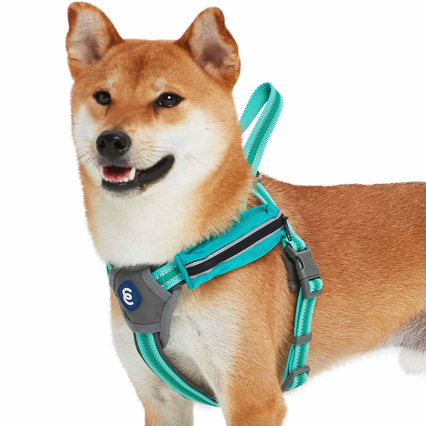 Back to Basics Reflective Dog Harness with Treat Pocket