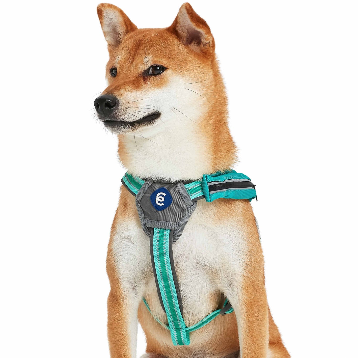 Back to Basics Reflective Dog Harness with Treat Pocket