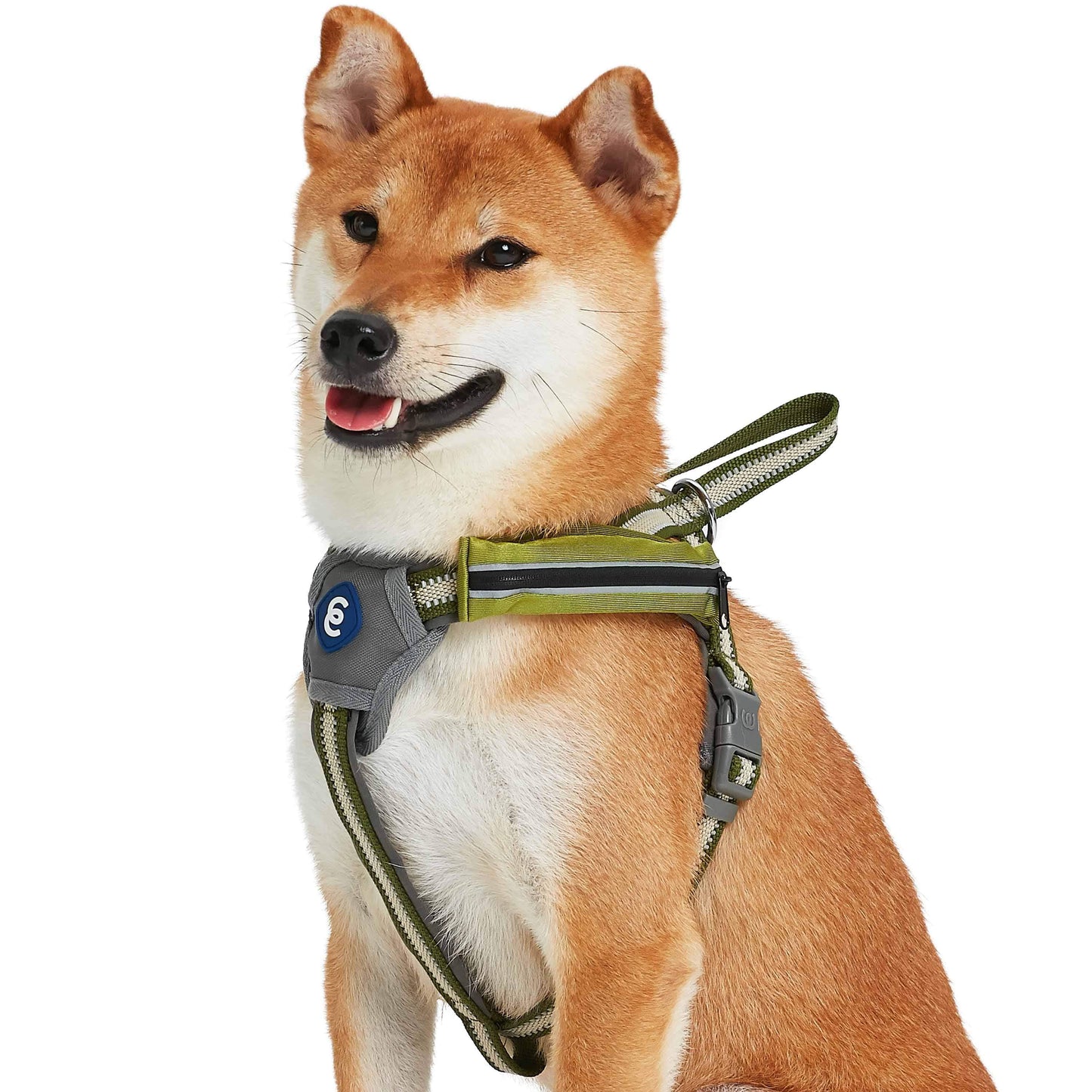 Back to Basics Reflective Dog Harness with Treat Pocket