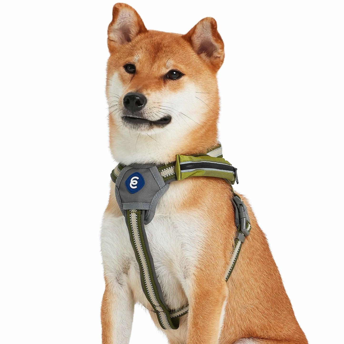 Back to Basics Reflective Dog Harness with Treat Pocket