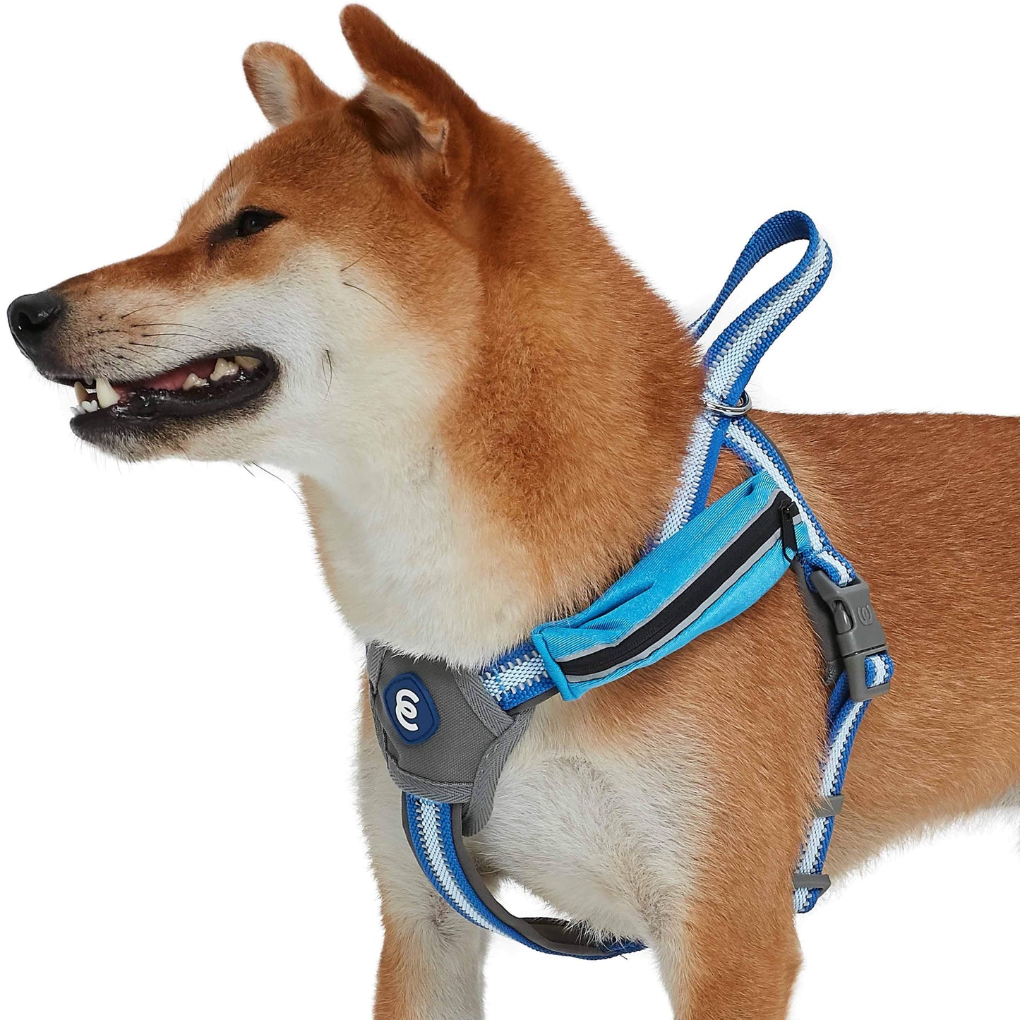 Back to Basics Reflective Dog Harness with Treat Pocket