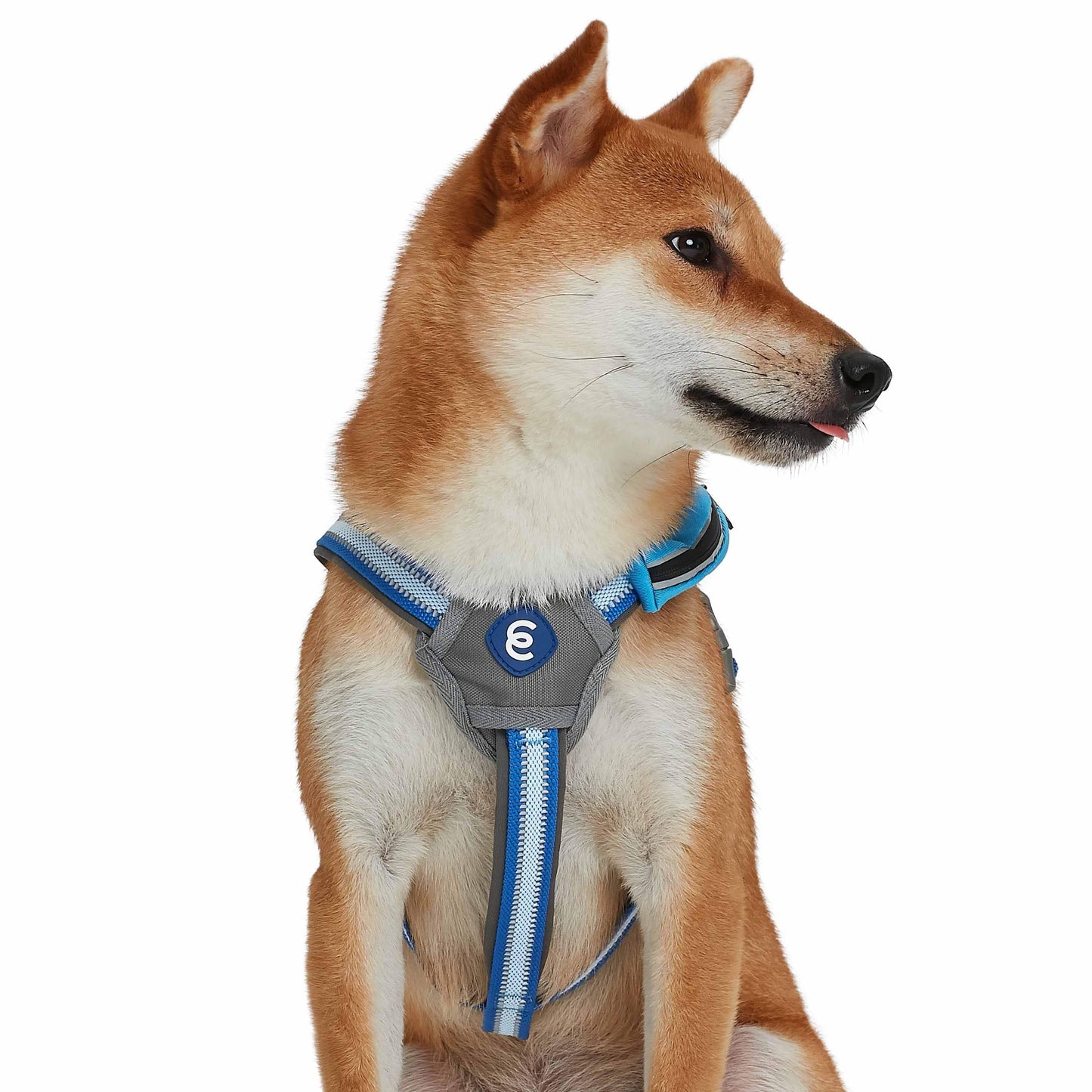 Back to Basics Reflective Dog Harness with Treat Pocket