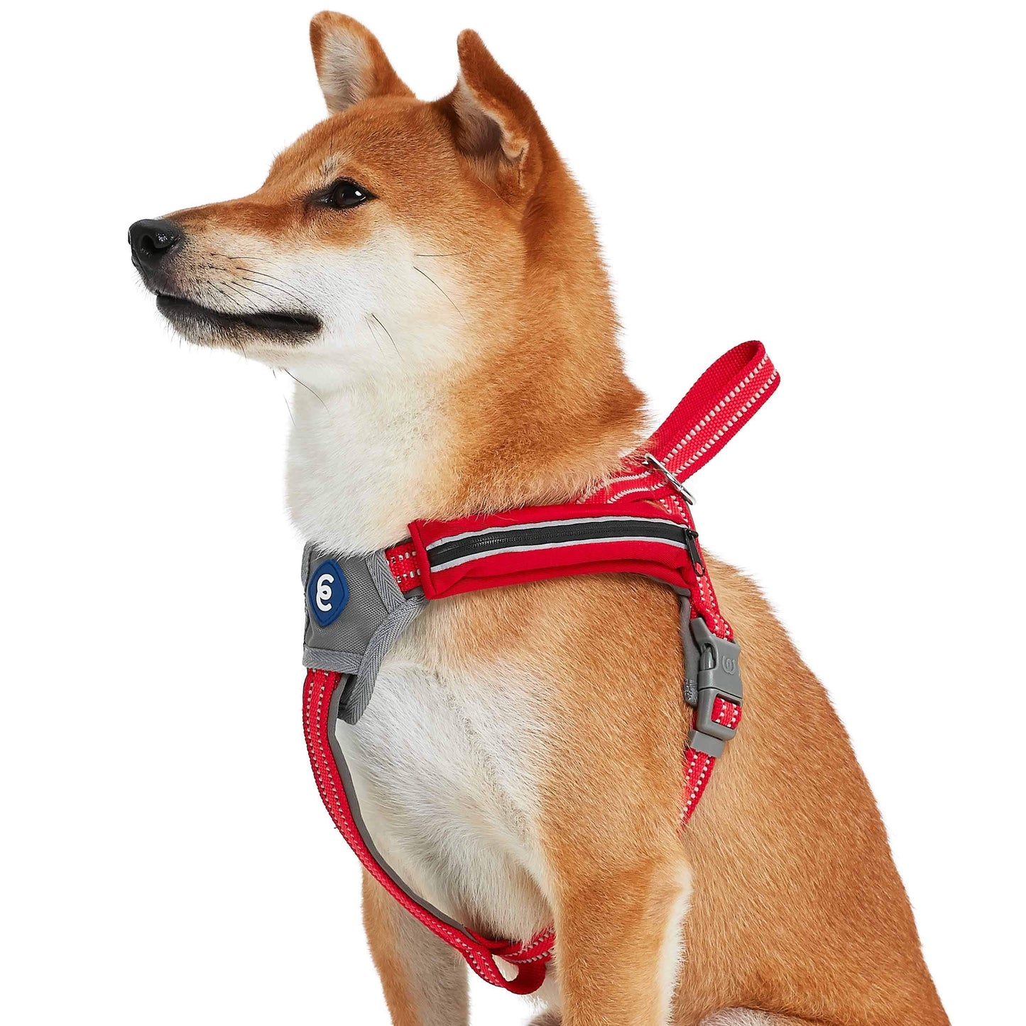 Back to Basics Reflective Dog Harness with Treat Pocket