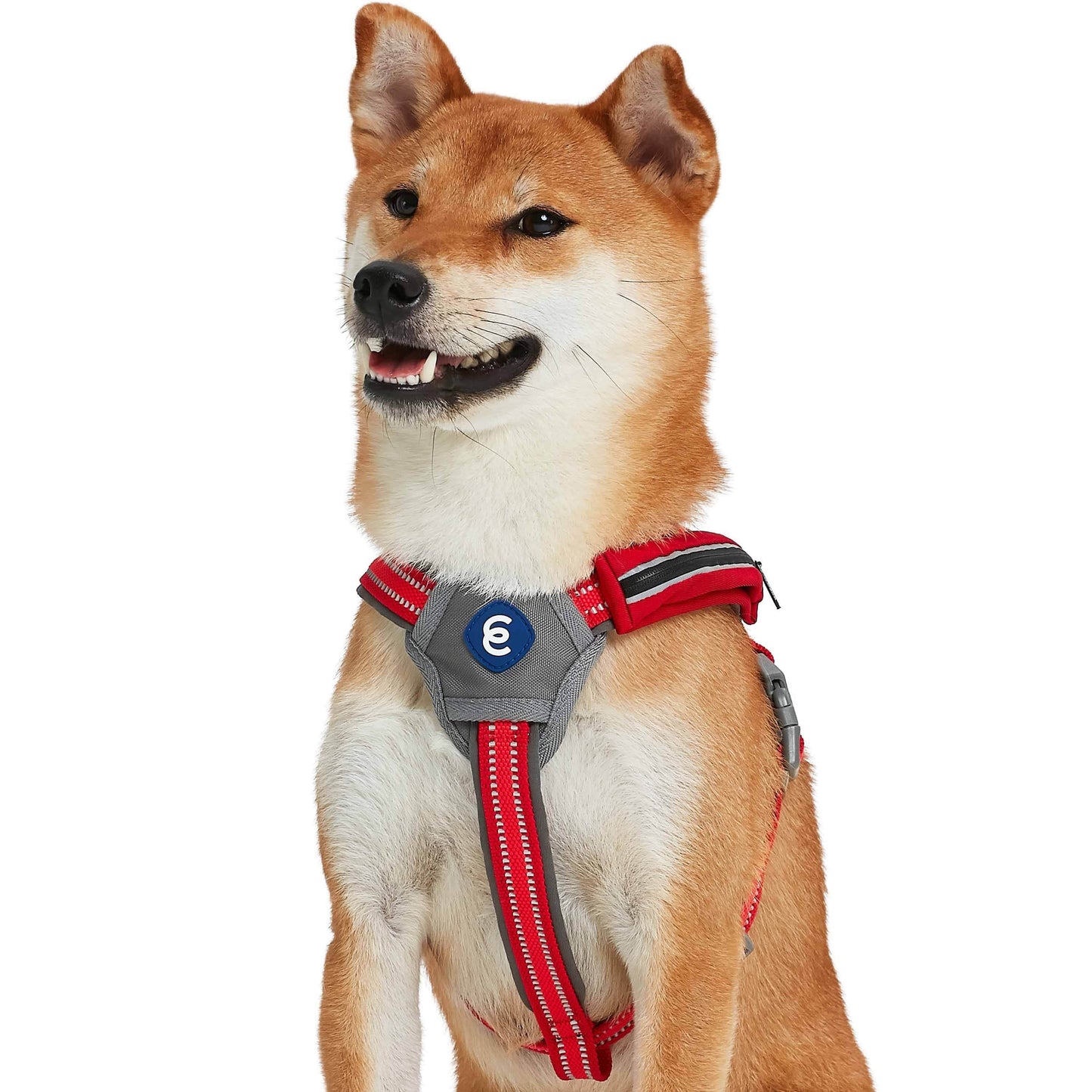Back to Basics Reflective Dog Harness with Treat Pocket