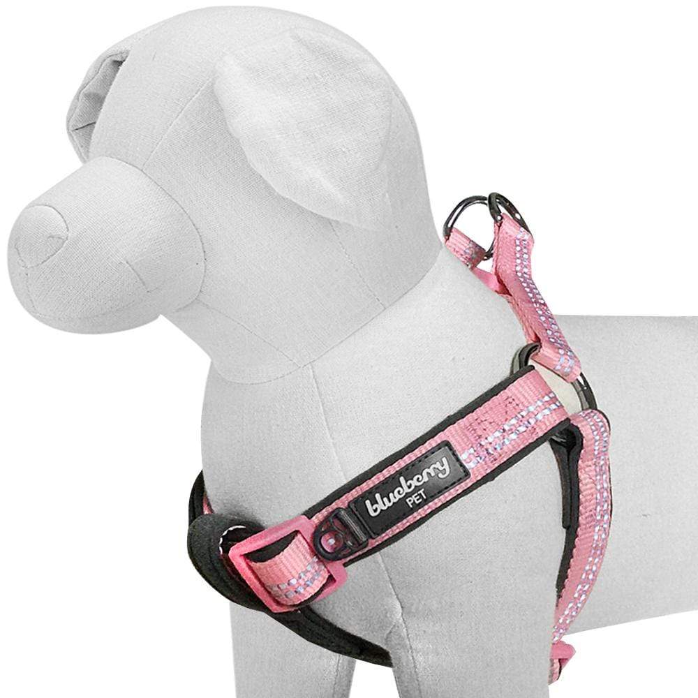 Reflective Hues of Spring 3M Reflective Neoprene Padded Dog Harness