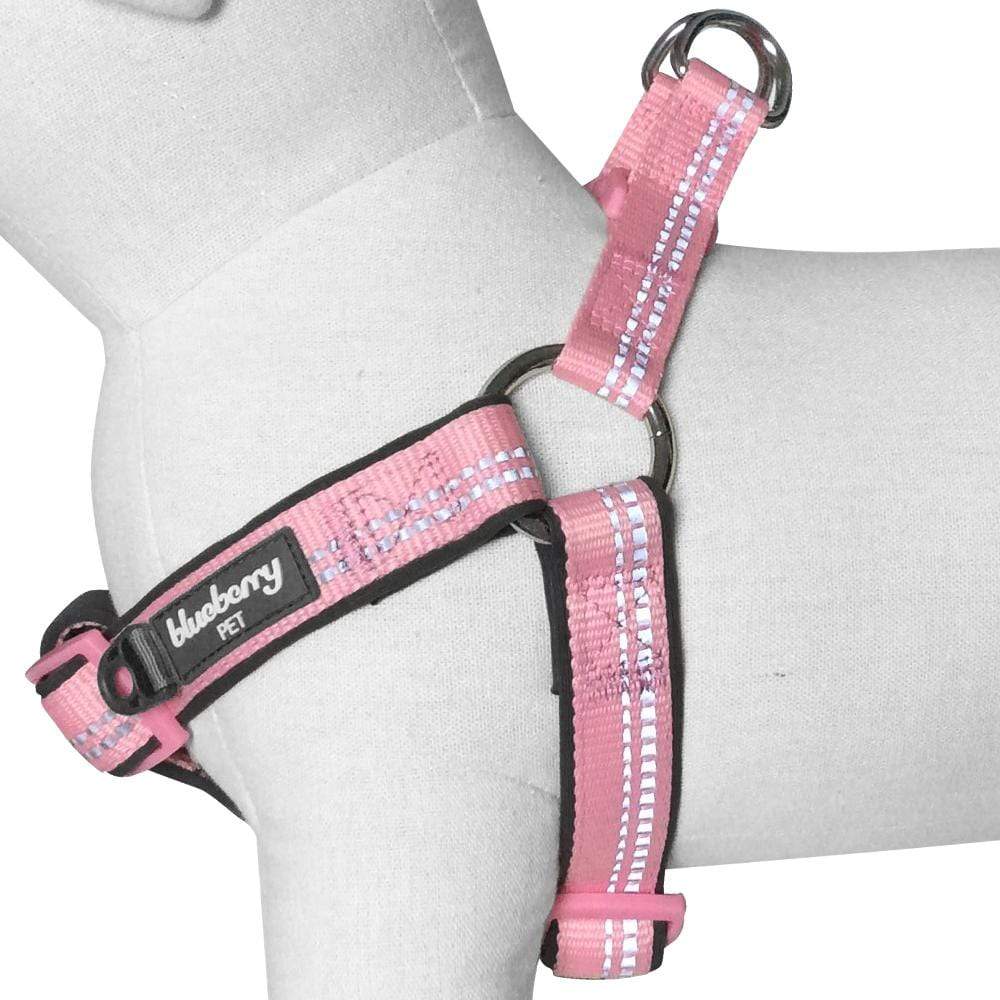 Reflective Hues of Spring 3M Reflective Neoprene Padded Dog Harness