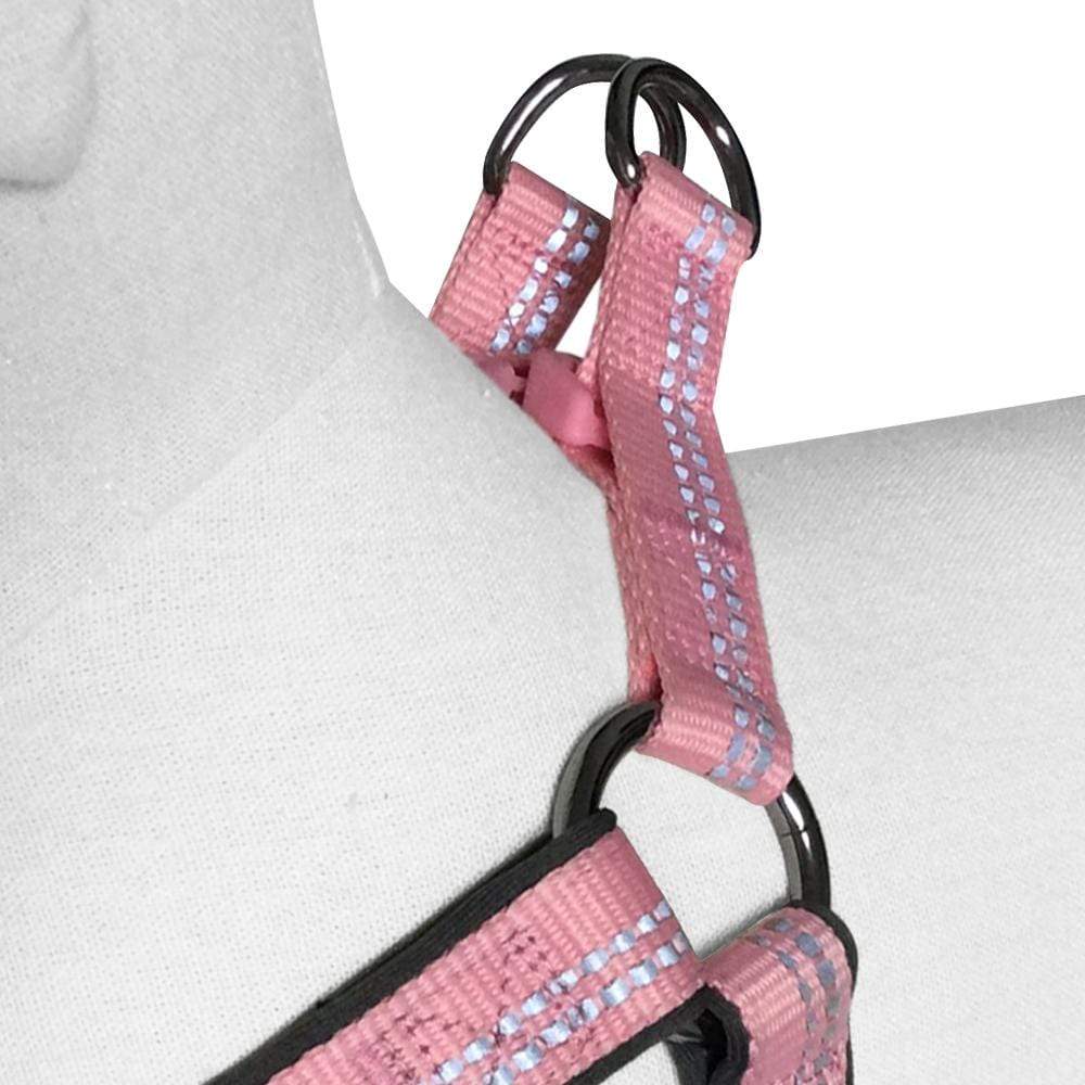 Reflective Hues of Spring 3M Reflective Neoprene Padded Dog Harness