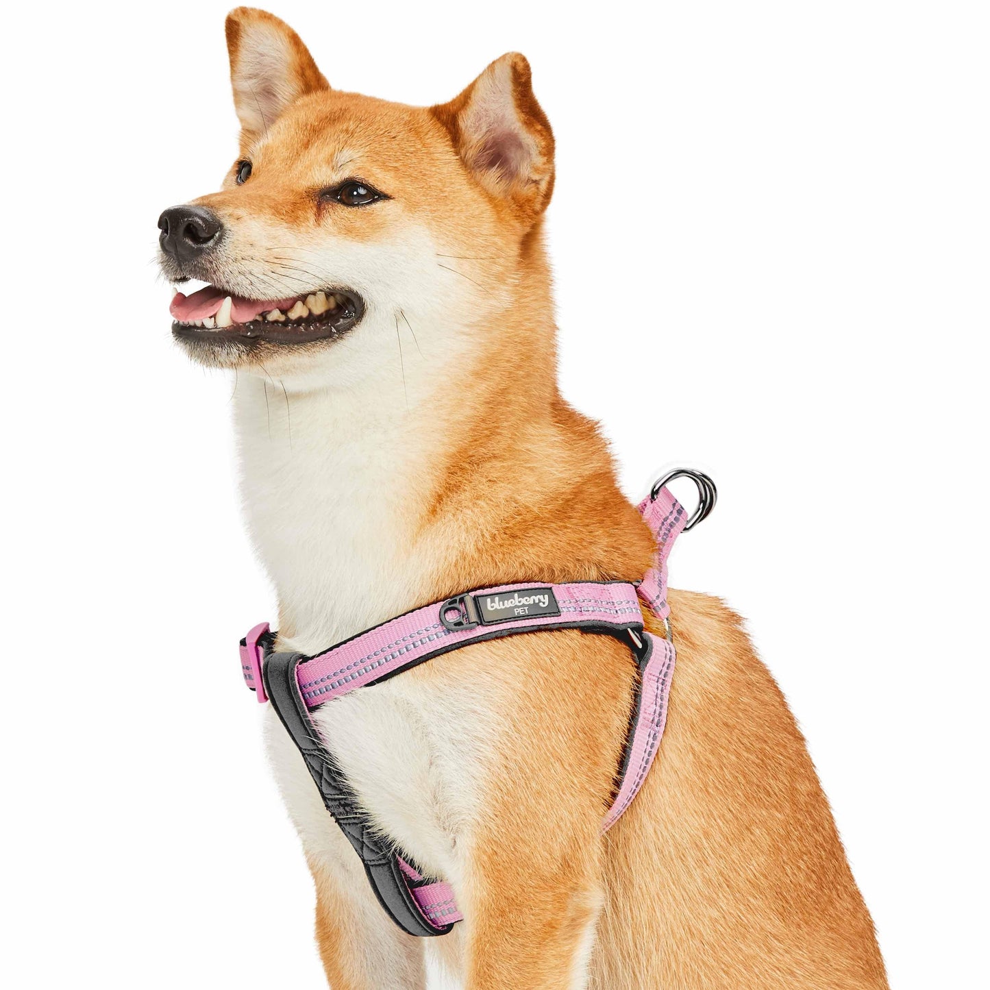 Reflective Hues of Spring 3M Reflective Neoprene Padded Dog Harness