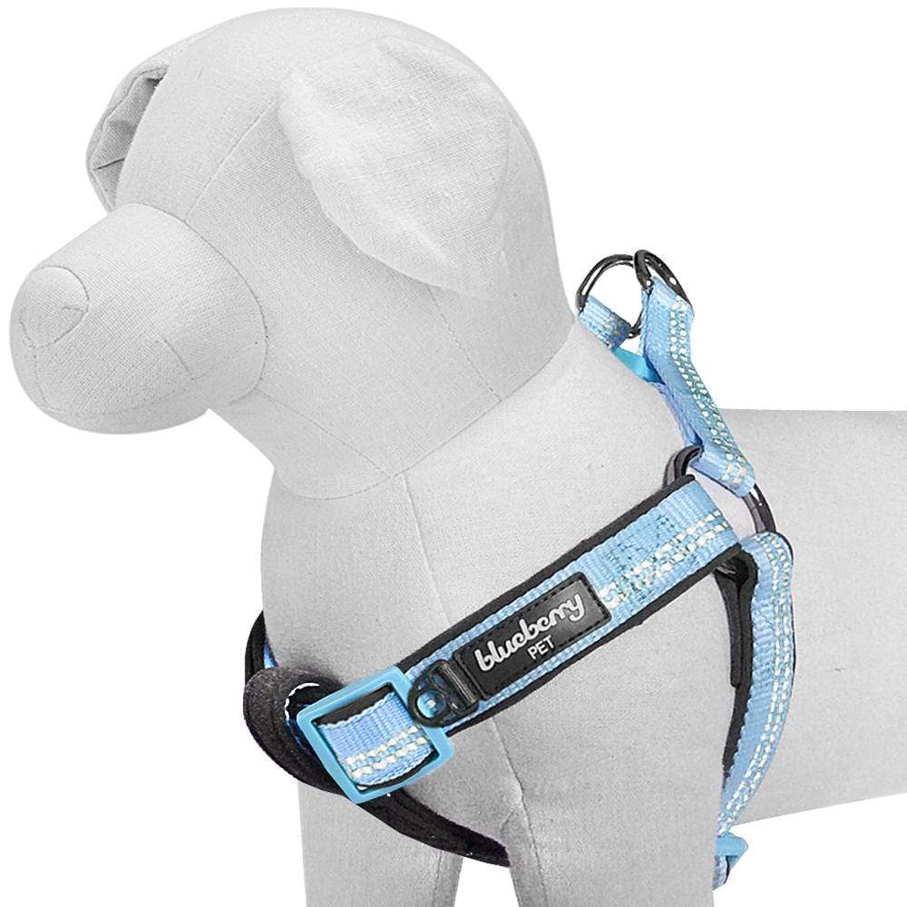Reflective Hues of Spring 3M Reflective Neoprene Padded Dog Harness