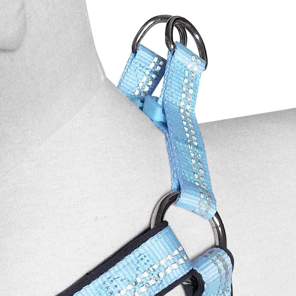 Reflective Hues of Spring 3M Reflective Neoprene Padded Dog Harness