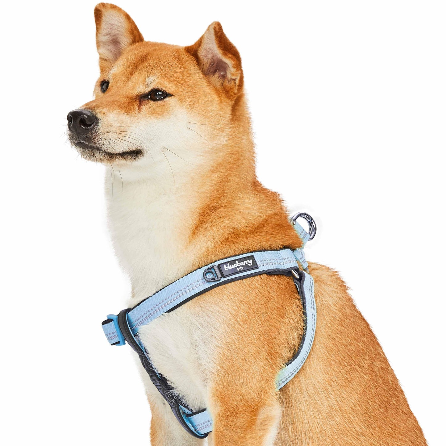 Reflective Hues of Spring 3M Reflective Neoprene Padded Dog Harness