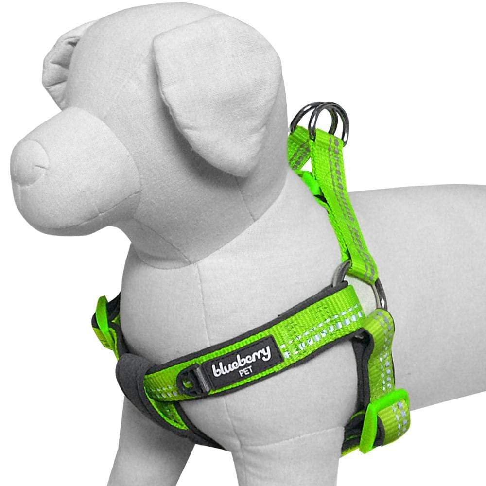 Reflective Hues of Spring 3M Reflective Neoprene Padded Dog Harness