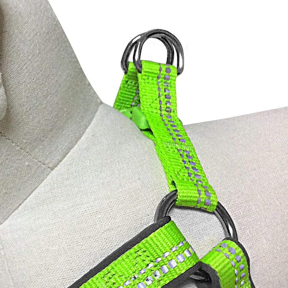 Reflective Hues of Spring 3M Reflective Neoprene Padded Dog Harness