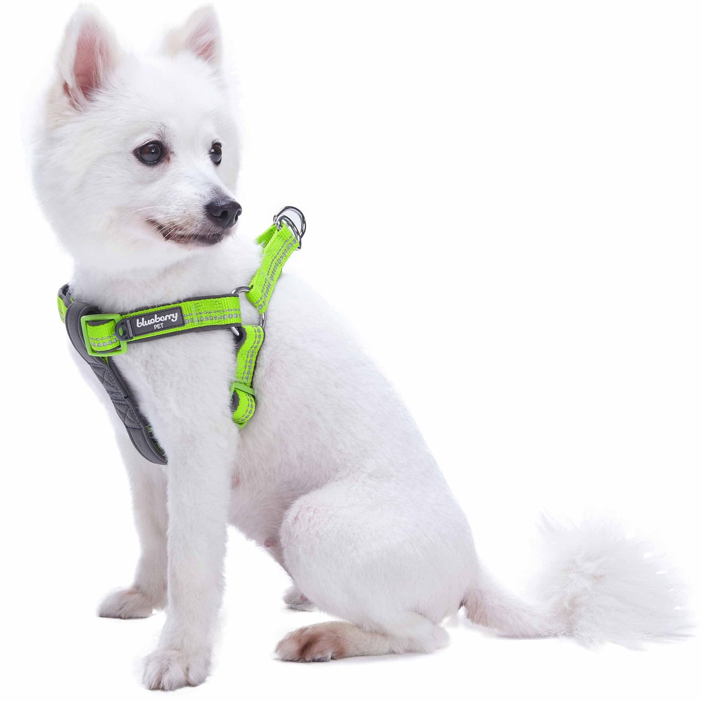 Reflective Hues of Spring 3M Reflective Neoprene Padded Dog Harness