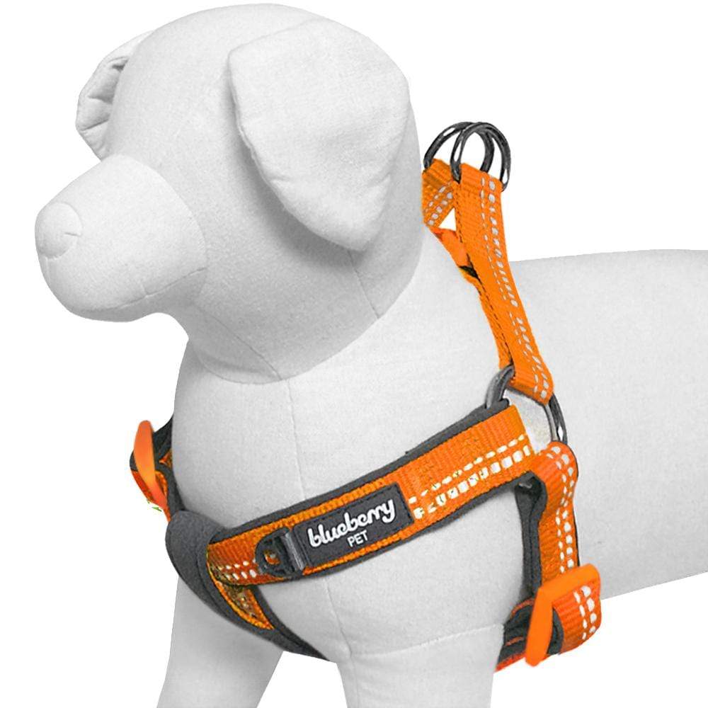 Reflective Hues of Spring 3M Reflective Neoprene Padded Dog Harness