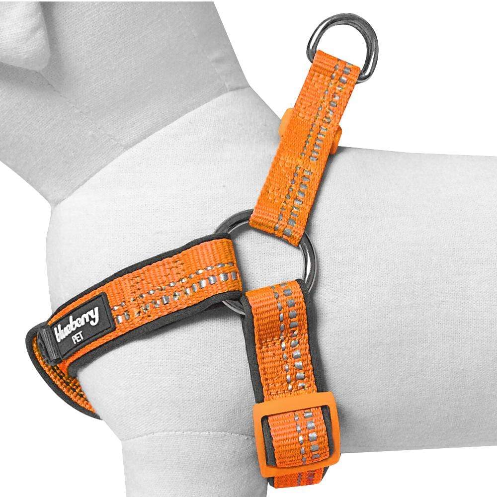 Reflective Hues of Spring 3M Reflective Neoprene Padded Dog Harness