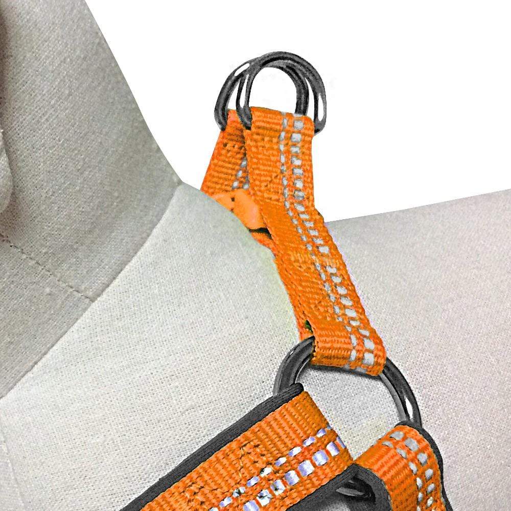 Reflective Hues of Spring 3M Reflective Neoprene Padded Dog Harness