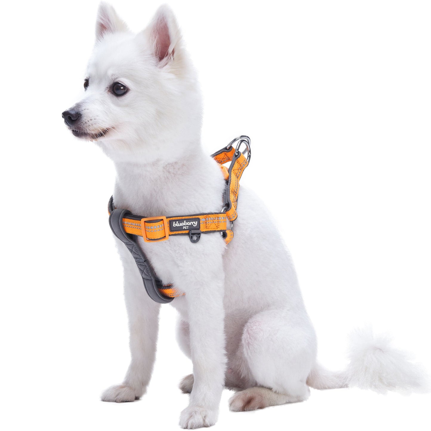 Reflective Hues of Spring 3M Reflective Neoprene Padded Dog Harness