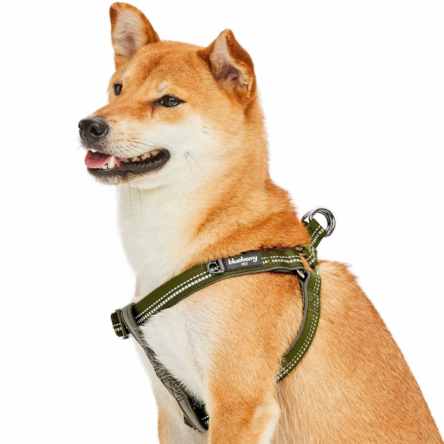 Reflective Hues of Spring 3M Reflective Neoprene Padded Dog Harness