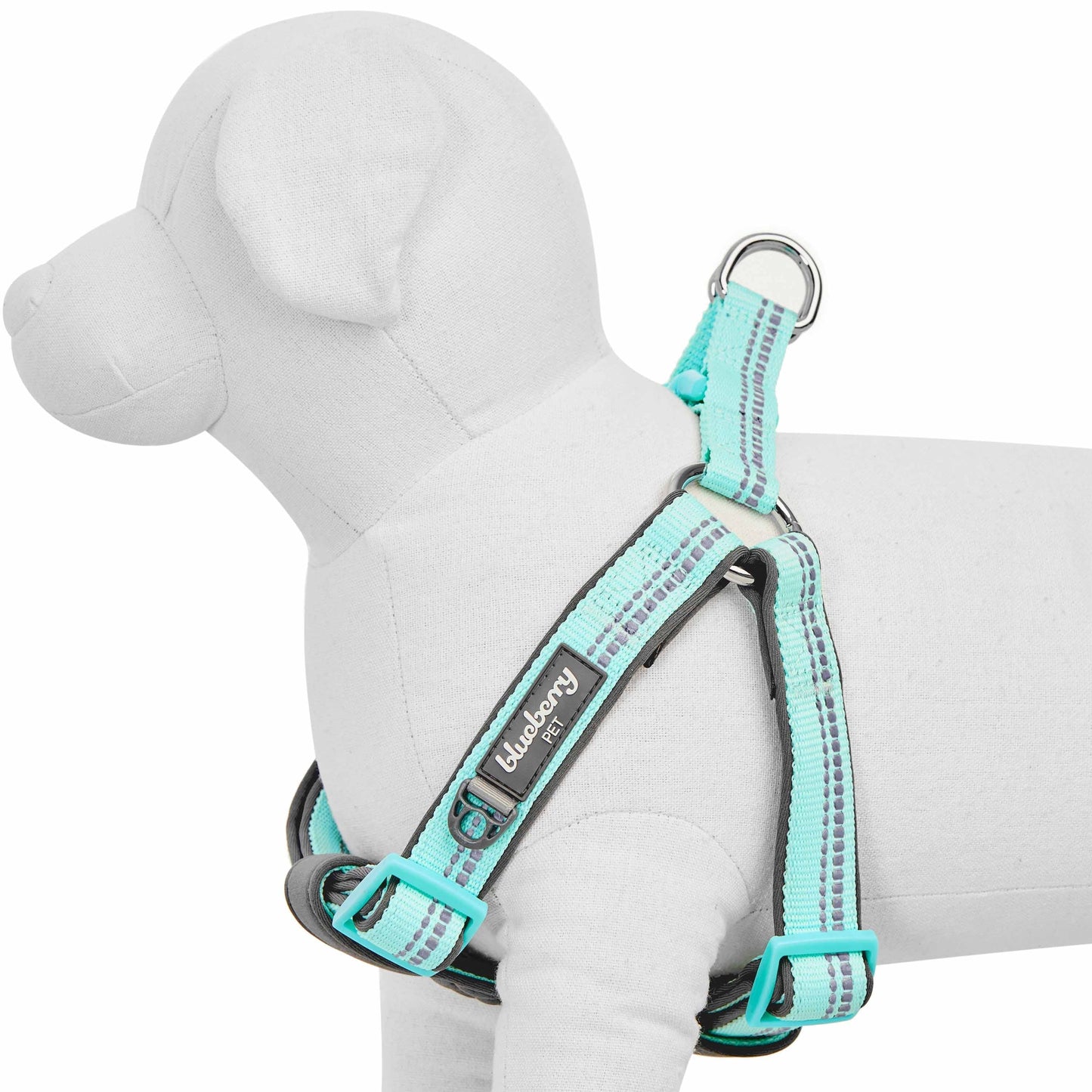 Reflective Hues of Spring 3M Reflective Neoprene Padded Dog Harness