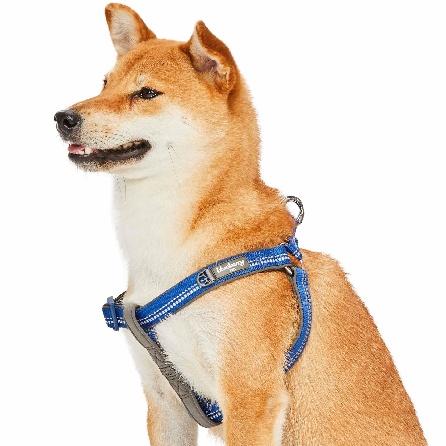 Reflective Hues of Spring 3M Reflective Neoprene Padded Dog Harness