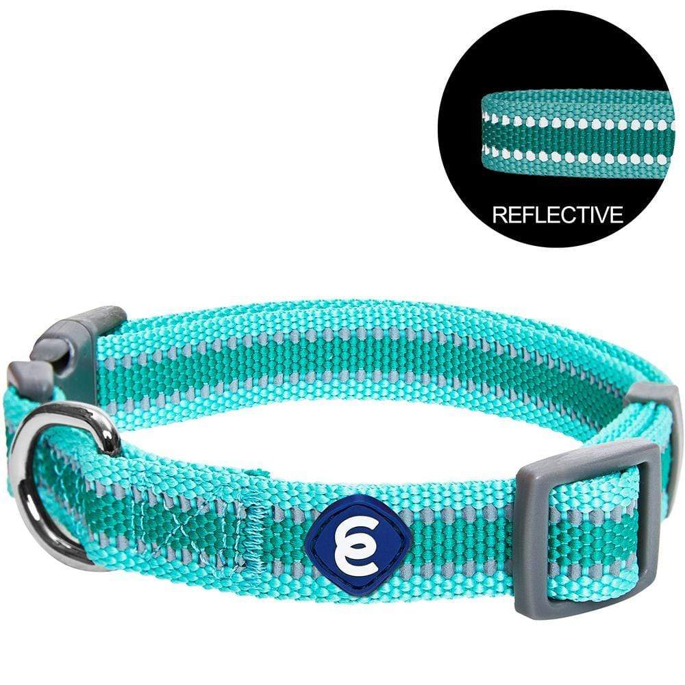 Back to Basics Reflective Dog Collar
