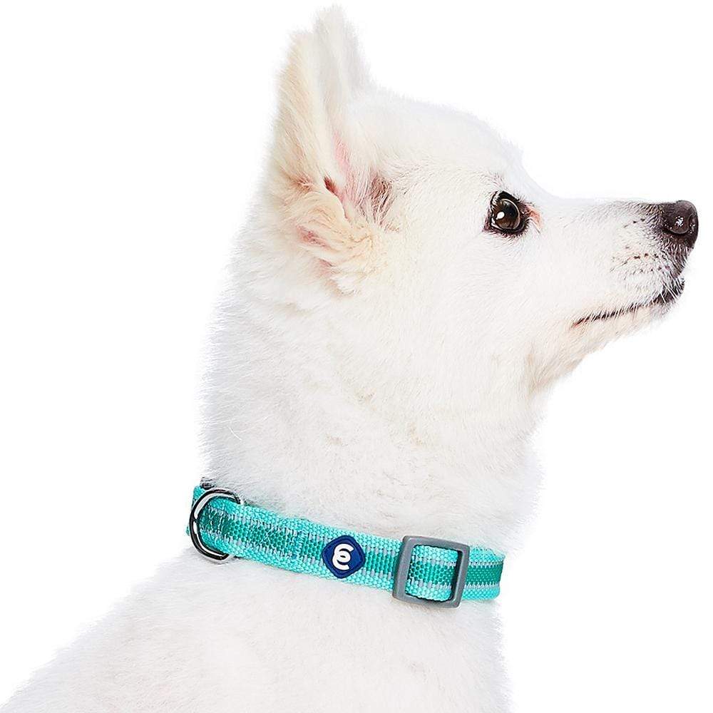 Back to Basics Reflective Dog Collar