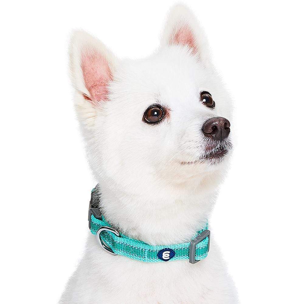 Back to Basics Reflective Dog Collar