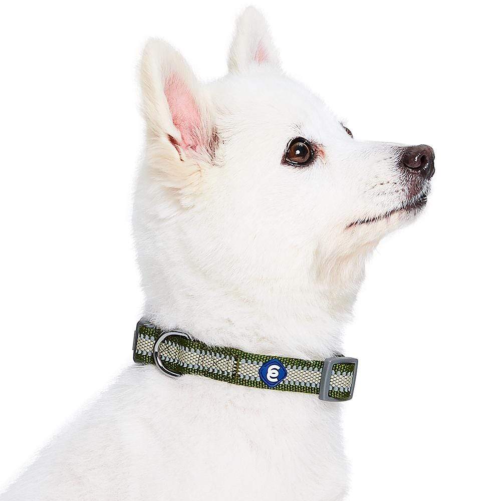 Back to Basics Reflective Dog Collar