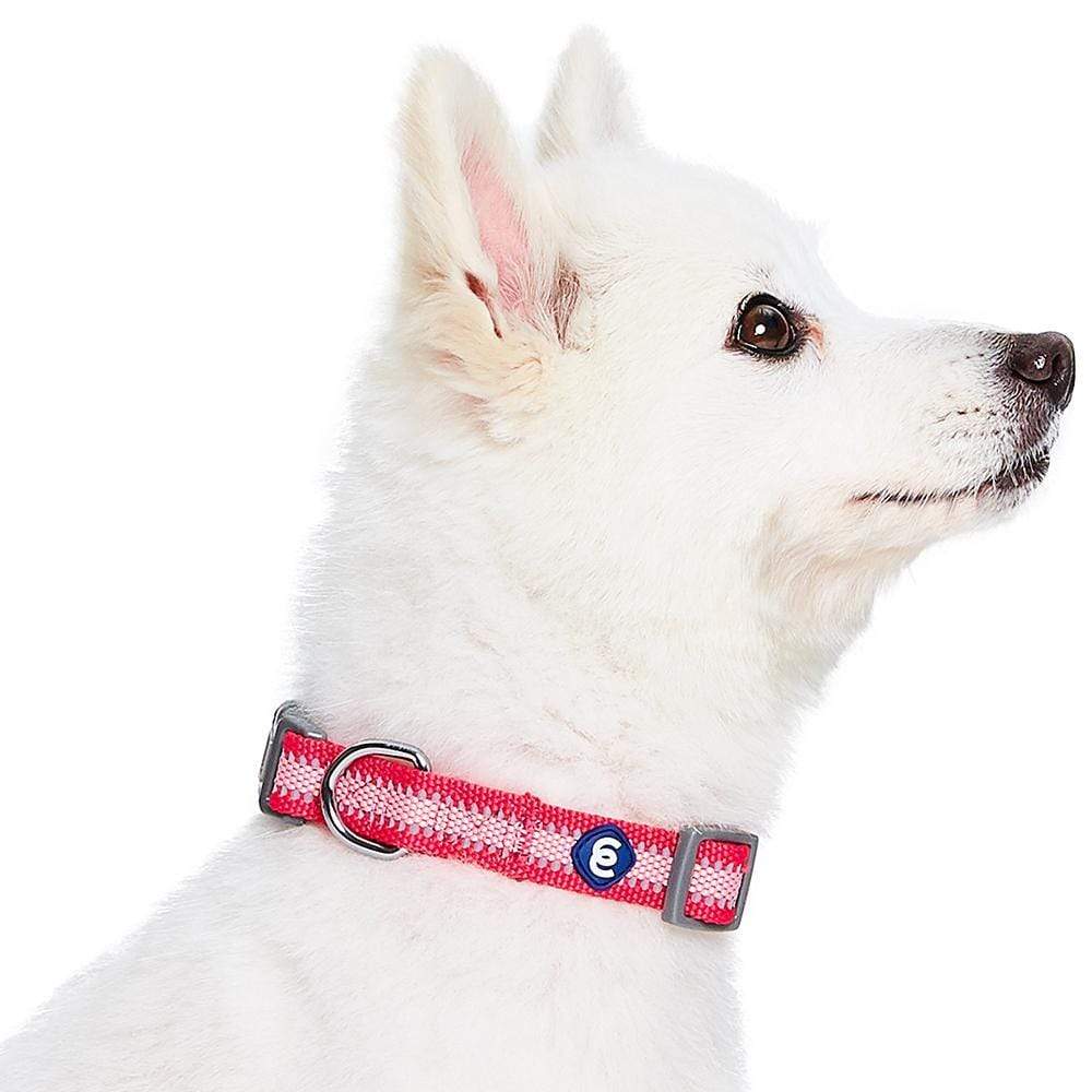 Back to Basics Reflective Dog Collar