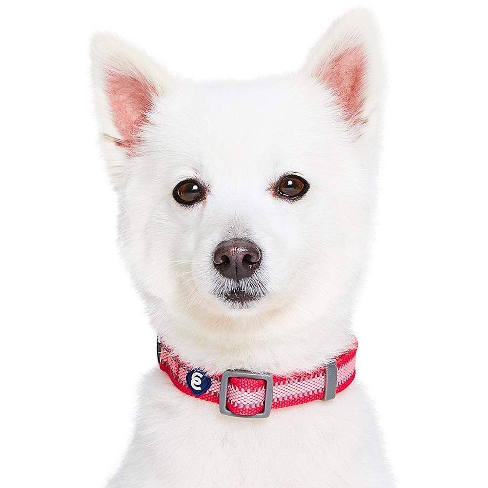 Back to Basics Reflective Dog Collar