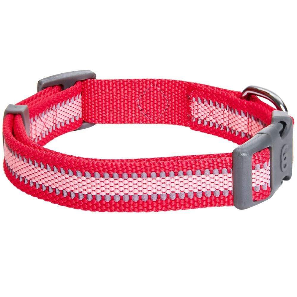 Back to Basics Reflective Dog Collar
