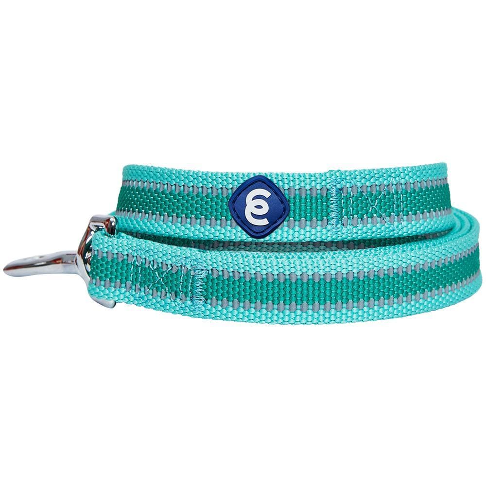 Back to Basics Reflective Dog Leash