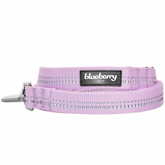 Reflective Hues of Spring 3M Reflective Neoprene Padded Dog Leash
