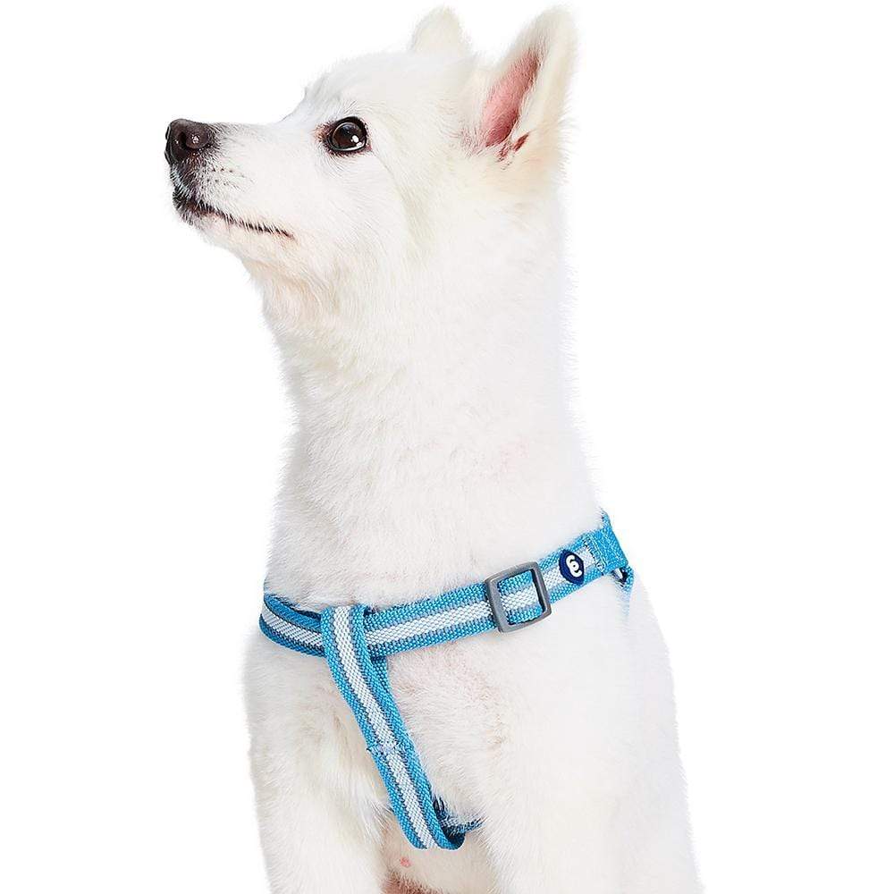 Back to Basics Reflective Step-in Dog Harness