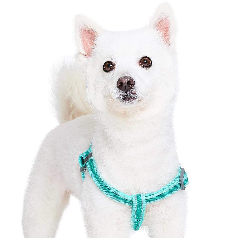 Back to Basics Reflective Step-in Dog Harness