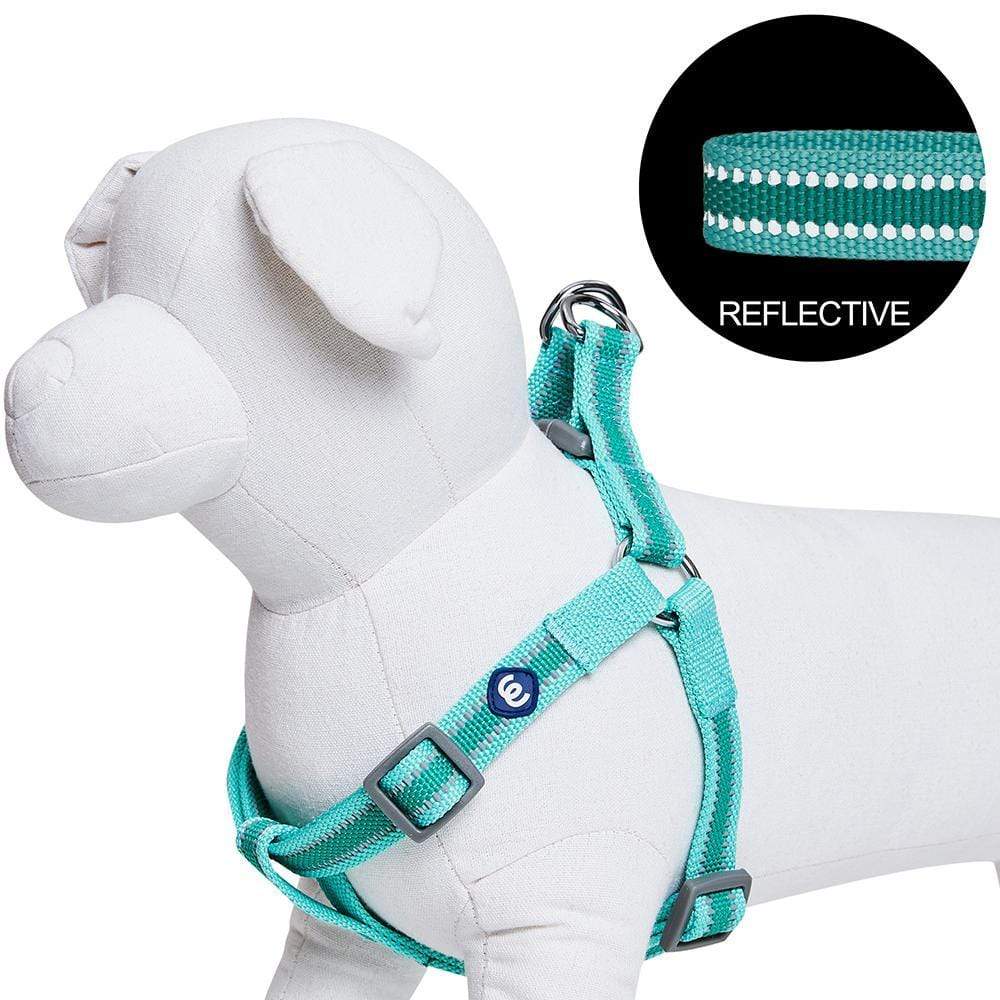 Back to Basics Reflective Step-in Dog Harness