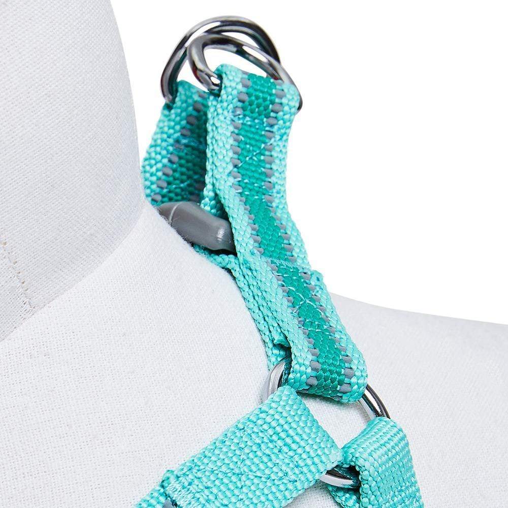 Back to Basics Reflective Step-in Dog Harness