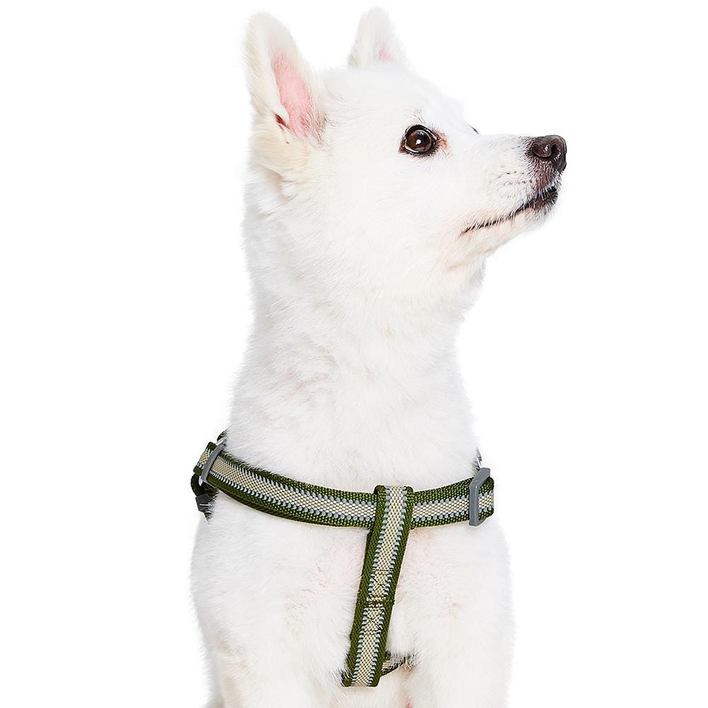 Back to Basics Reflective Step-in Dog Harness