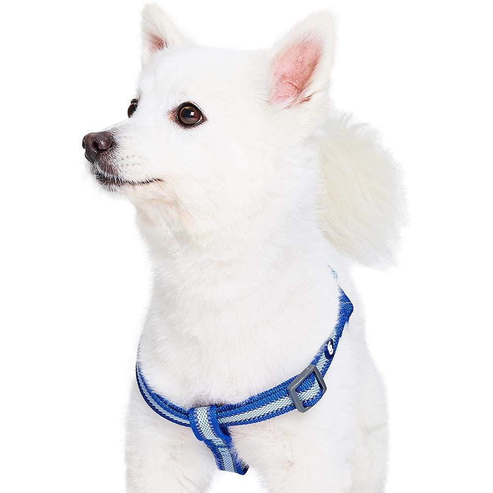 Back to Basics Reflective Step-in Dog Harness