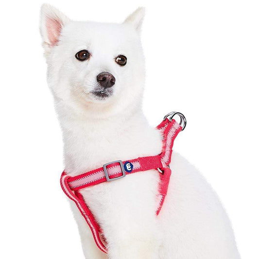 Back to Basics Reflective Step-in Dog Harness