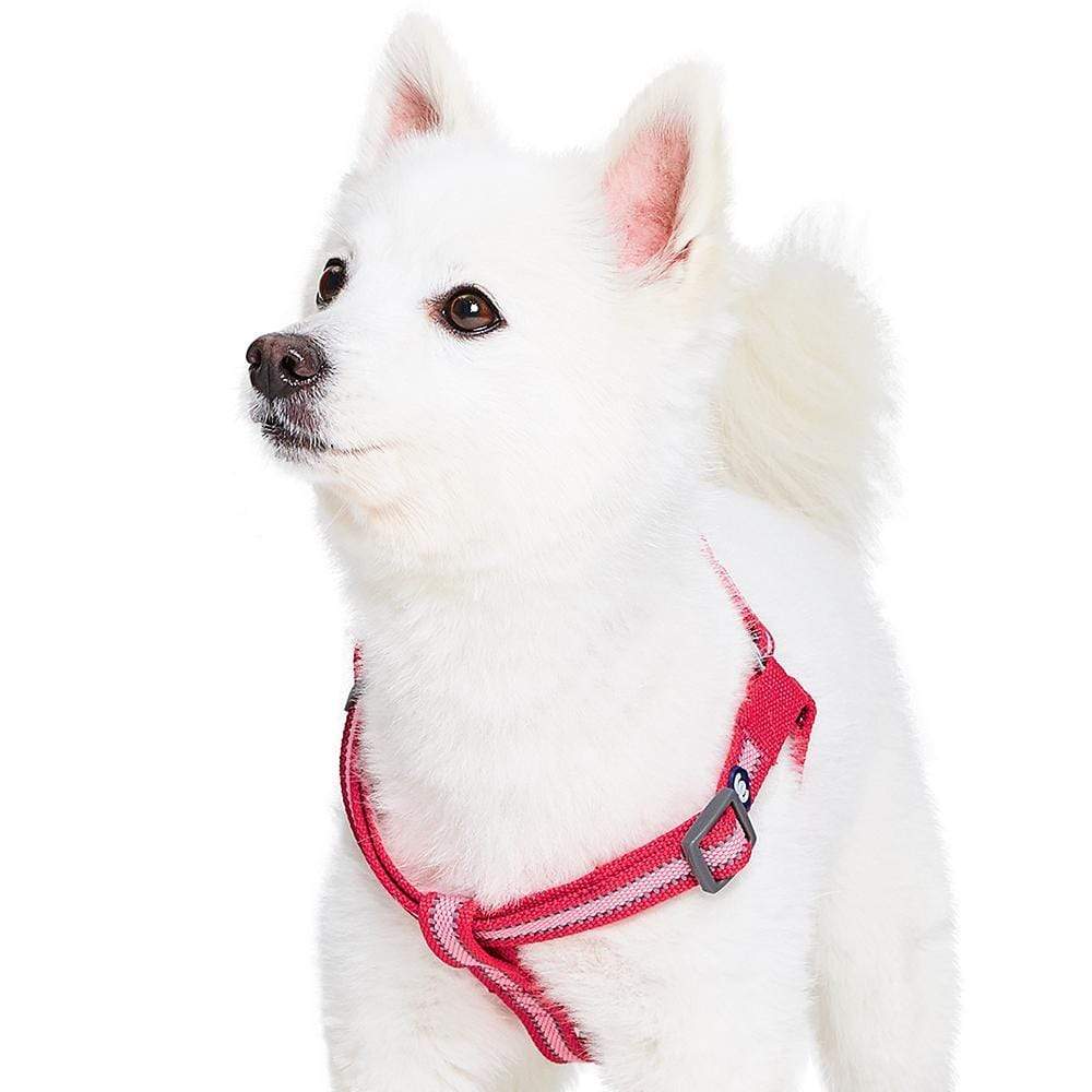 Back to Basics Reflective Step-in Dog Harness