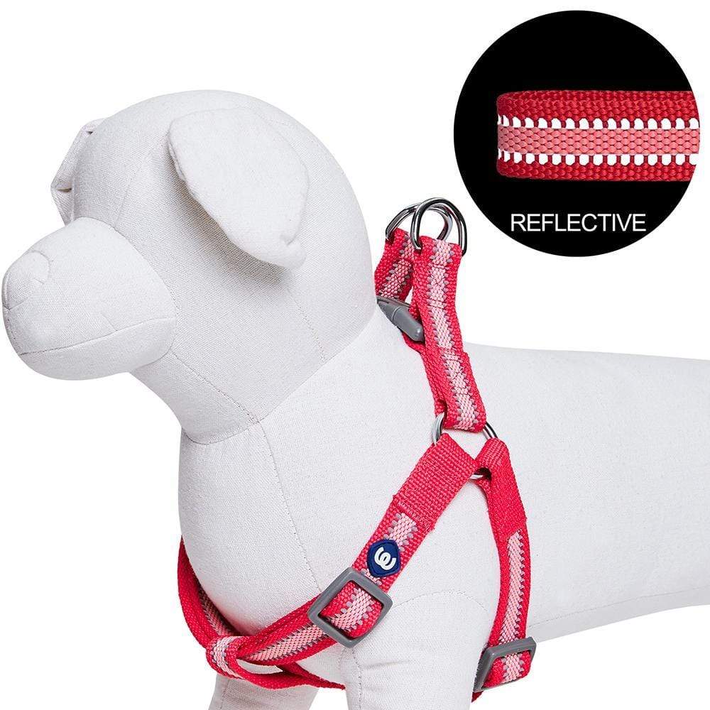 Back to Basics Reflective Step-in Dog Harness