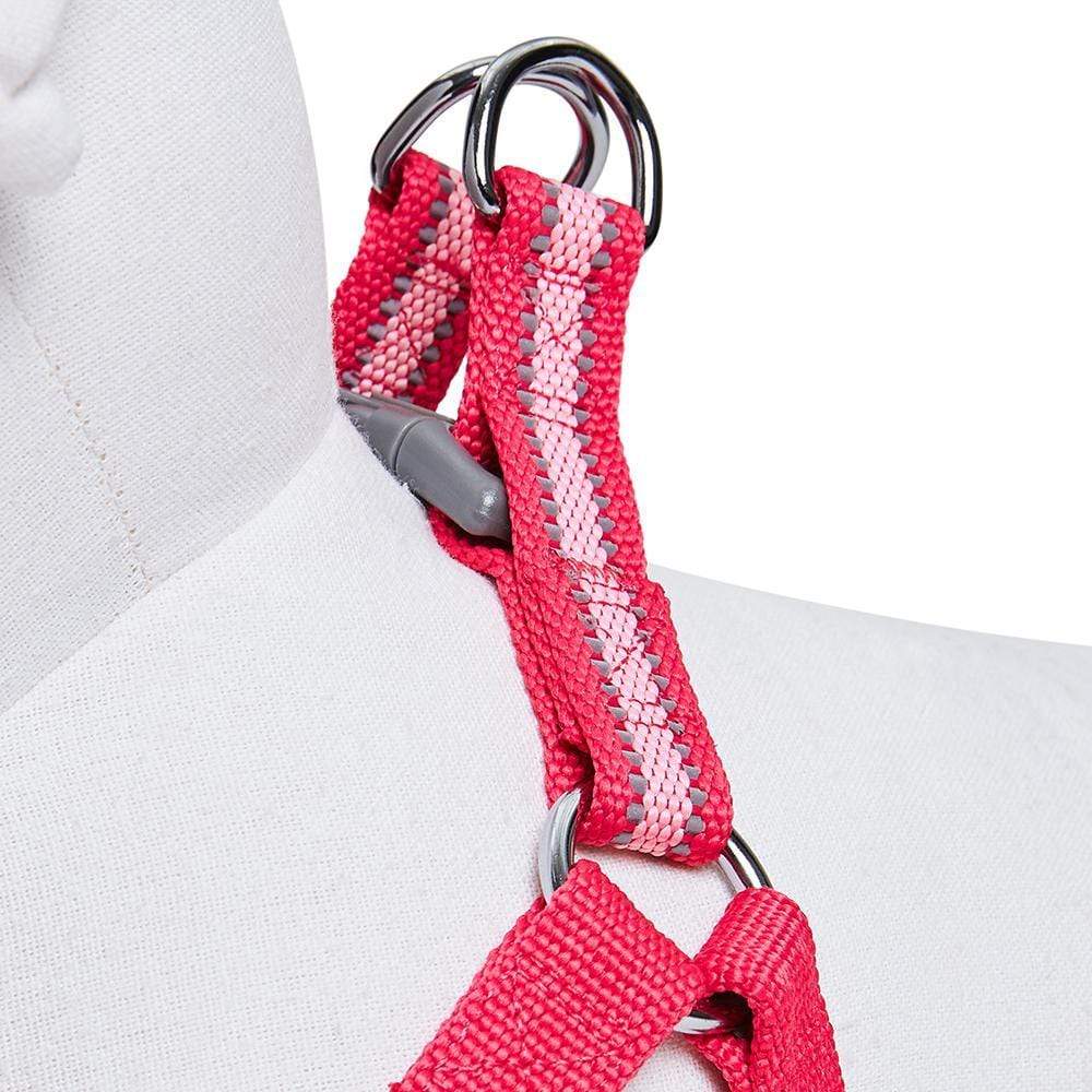 Back to Basics Reflective Step-in Dog Harness